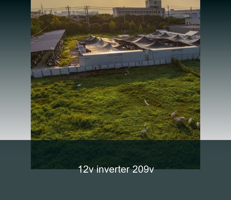 12v inverter 209v