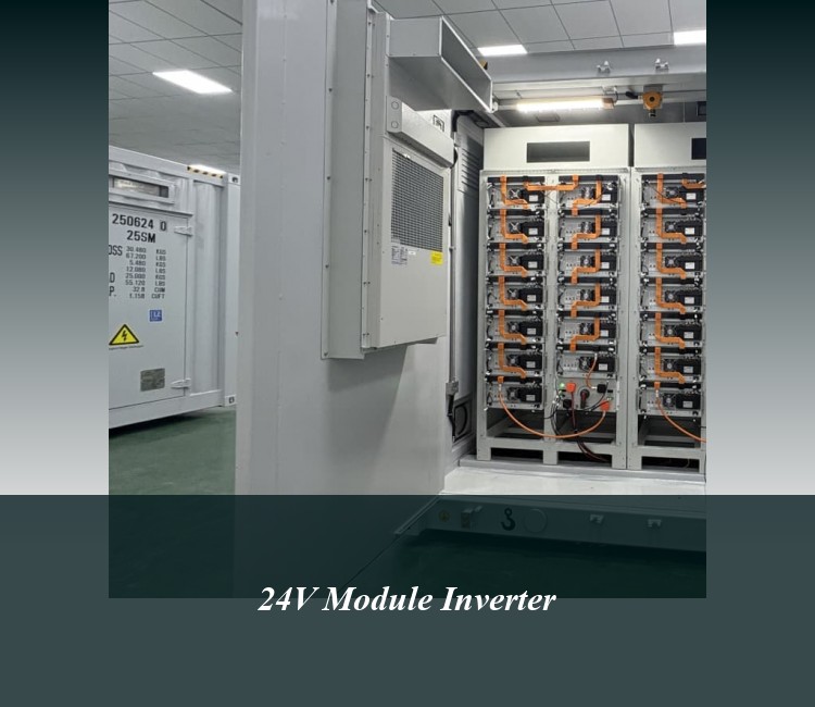 24V Module Inverter