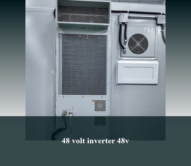 48 volt inverter 48v