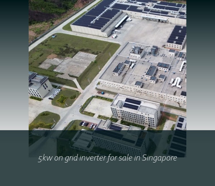 5kw on grid inverter for sale in Singapore