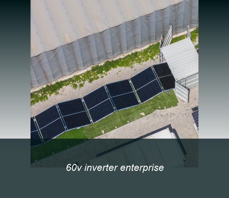 60v inverter enterprise