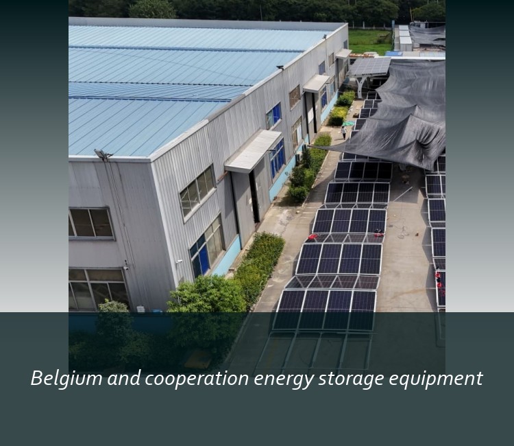 Belgium and cooperation energy storage equipment