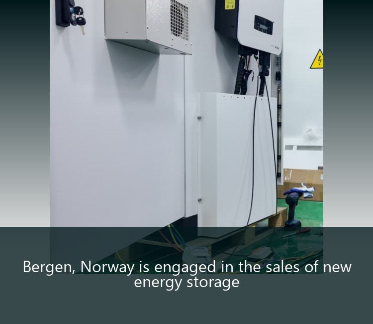 Bergen, Norway is engaged in the sales of new energy storage