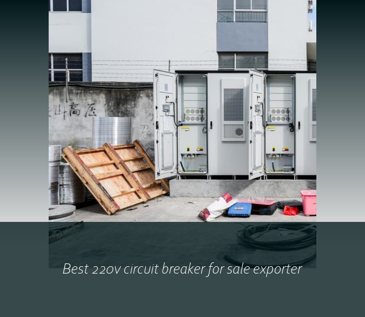 Best 220v circuit breaker for sale exporter
