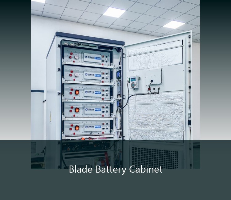Blade Battery Cabinet