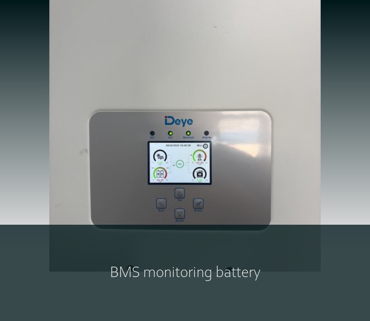 BMS monitoring battery