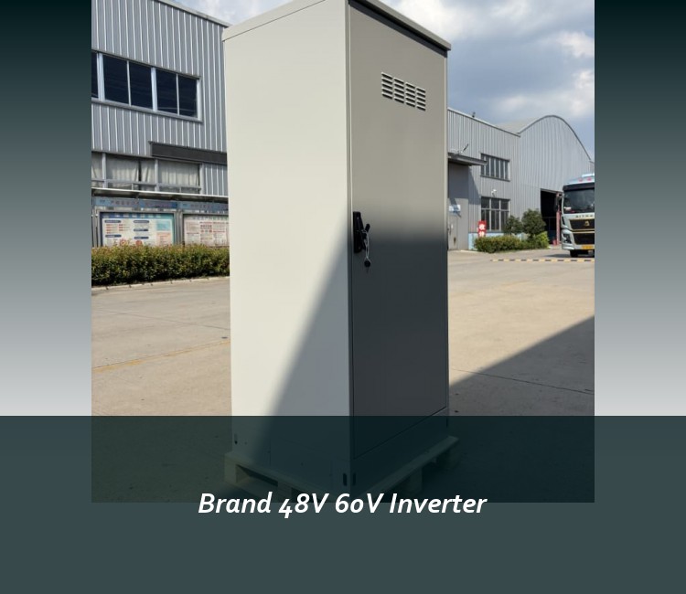 Brand 48V 60V Inverter