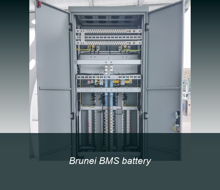 Brunei BMS battery