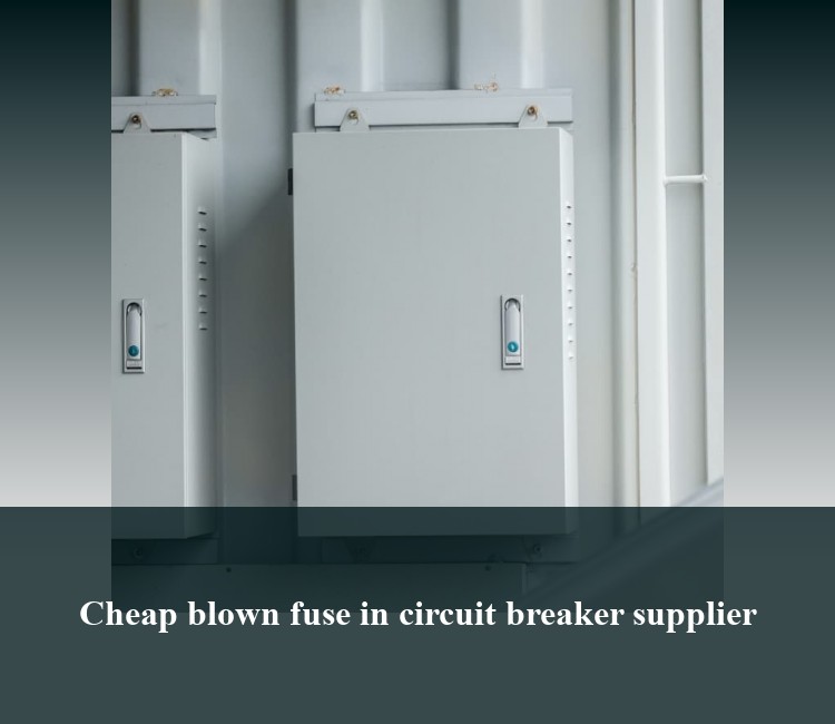 Cheap blown fuse in circuit breaker supplier
