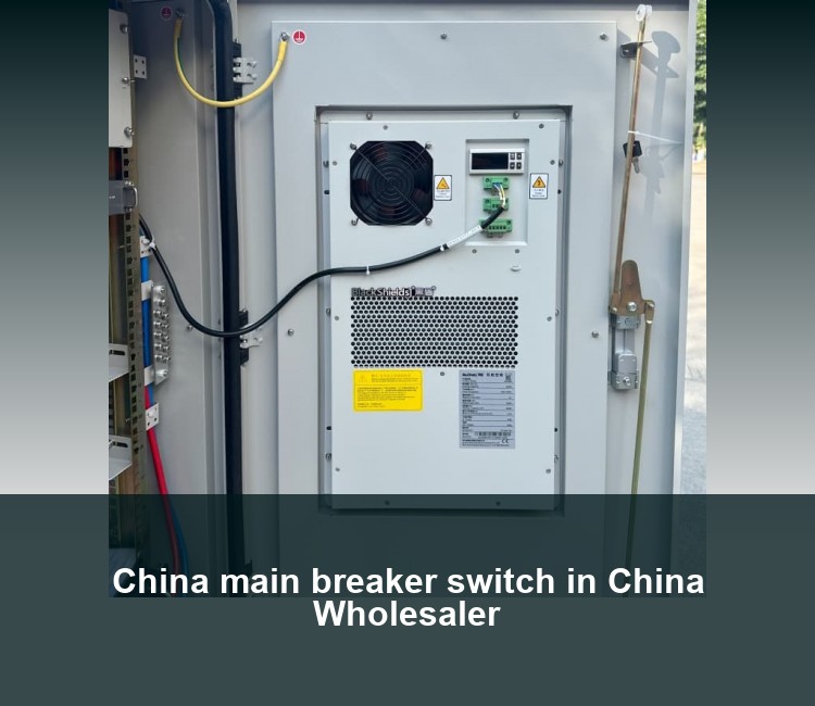 China main breaker switch in China Wholesaler