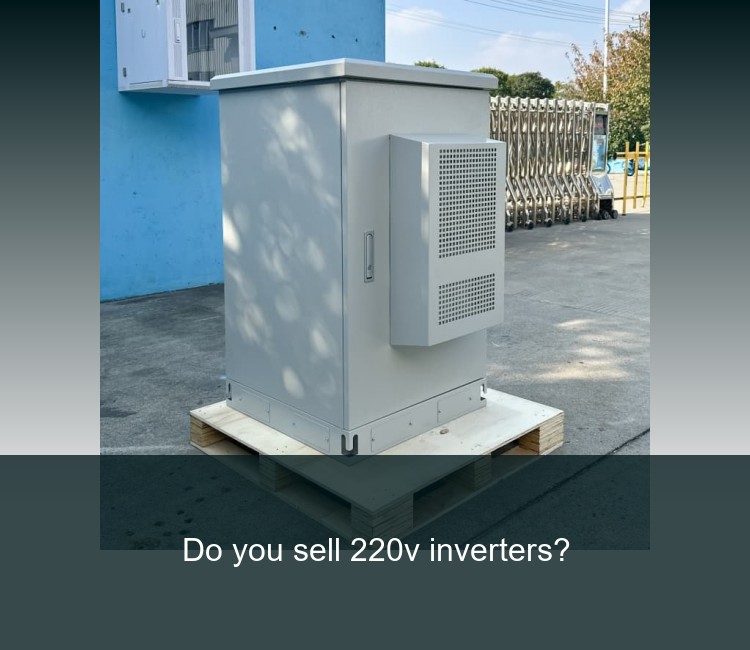 Do you sell 220v inverters?