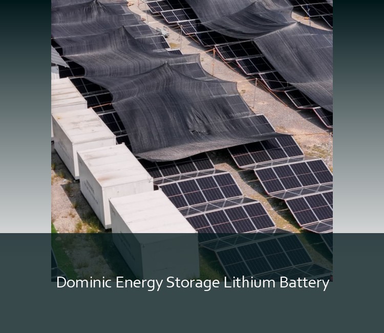 Dominic Energy Storage Lithium Battery