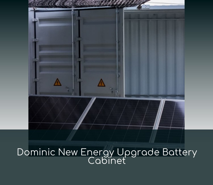 Dominic New Energy Upgrade Battery Cabinet
