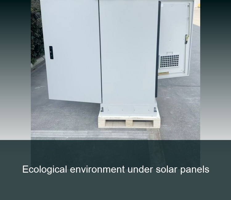Ecological environment under solar panels