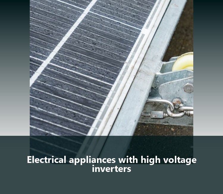 Electrical appliances with high voltage inverters