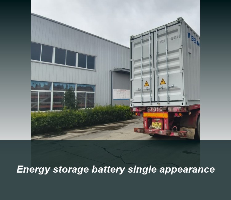 Energy storage battery single appearance