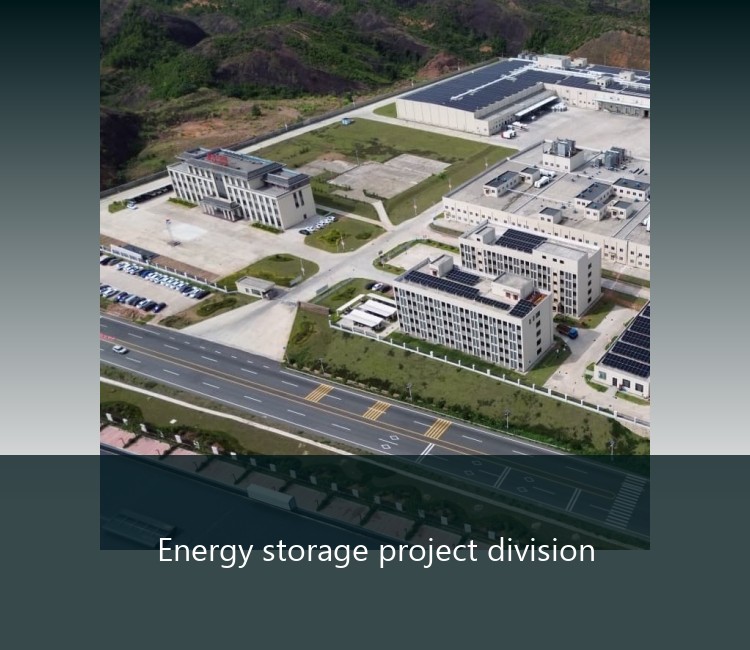 Energy storage project division