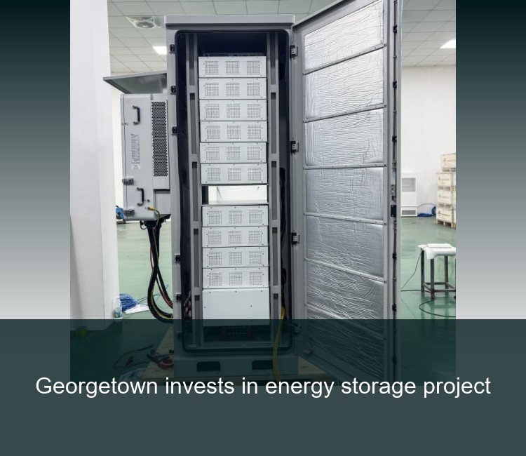 Georgetown invests in energy storage project