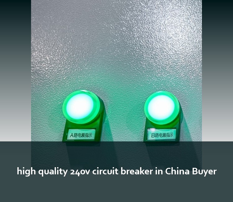 high quality 240v circuit breaker in China Buyer