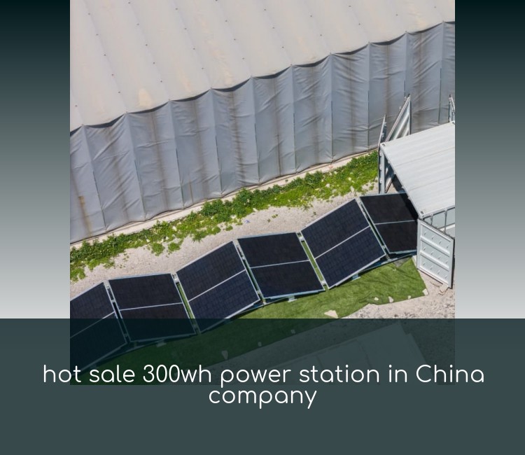 hot sale 300wh power station in China company