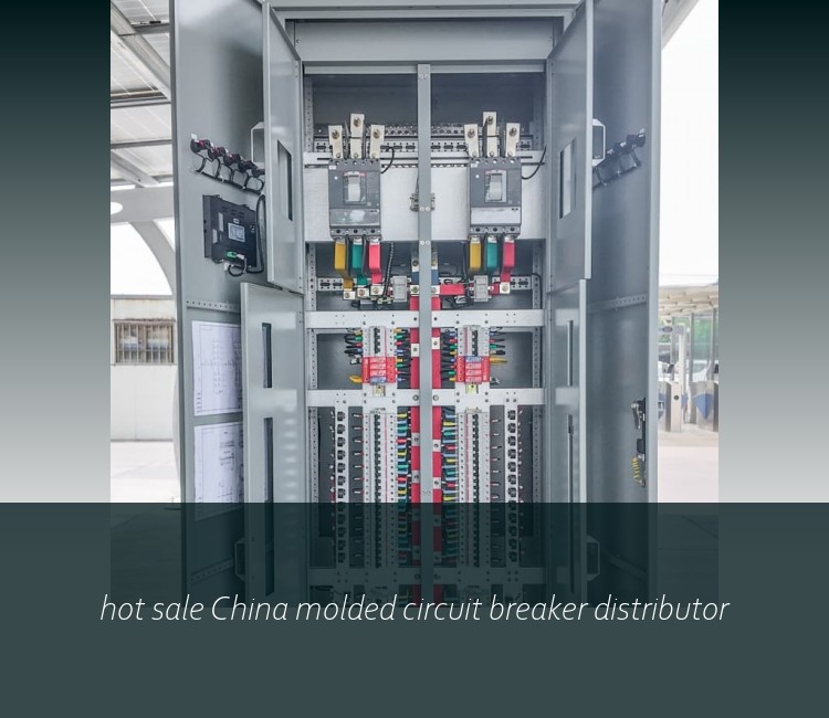 hot sale China molded circuit breaker distributor