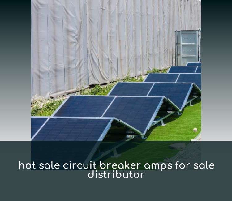 hot sale circuit breaker amps for sale distributor
