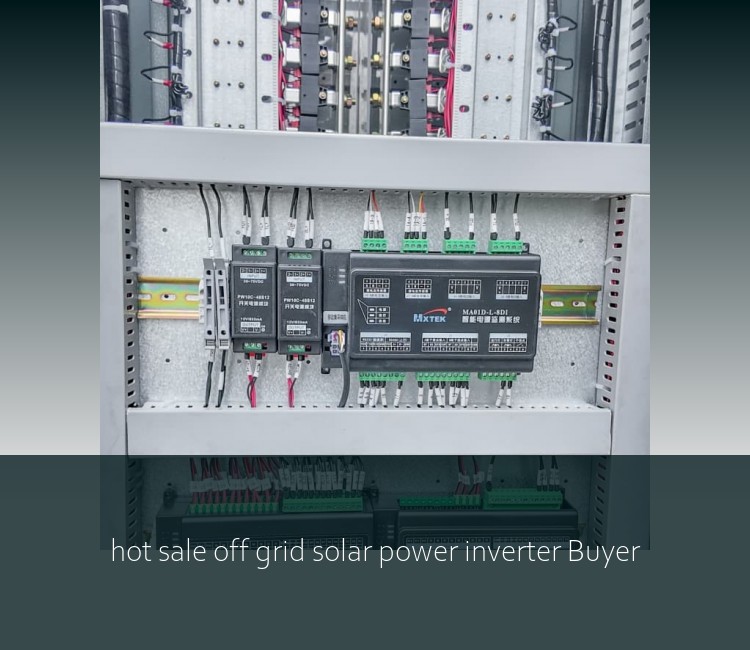 hot sale off grid solar power inverter Buyer