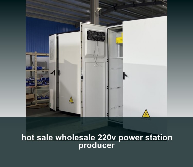 hot sale wholesale 220v power station producer
