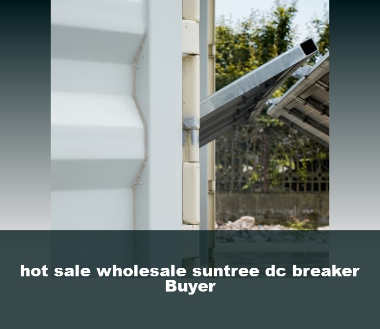 hot sale wholesale suntree dc breaker Buyer
