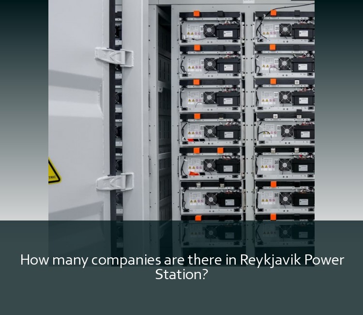 How many companies are there in Reykjavik Power Station?