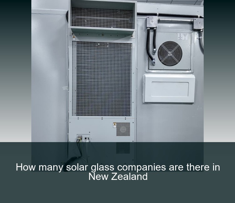 How many solar glass companies are there in New Zealand