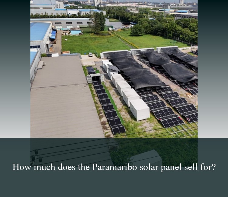 How much does the Paramaribo solar panel sell for?