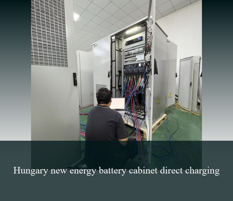 Hungary new energy battery cabinet direct charging