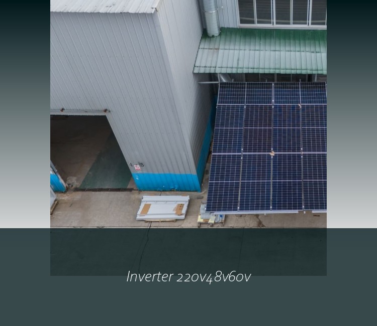 Inverter 220v48v60v