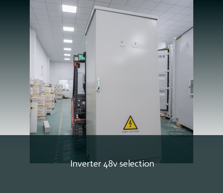 Inverter 48v selection