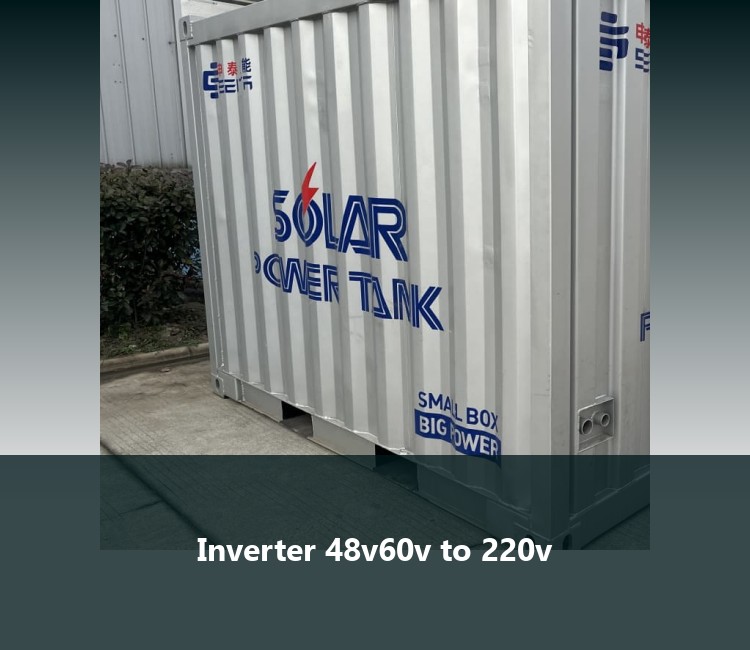 Inverter 48v60v to 220v