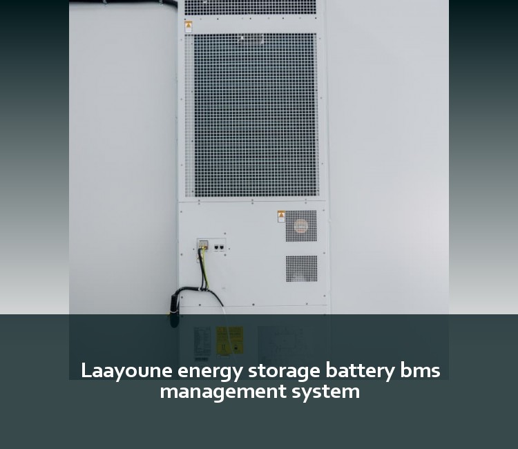Laayoune energy storage battery bms management system