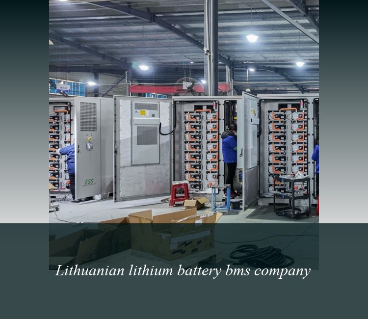 Lithuanian lithium battery bms company