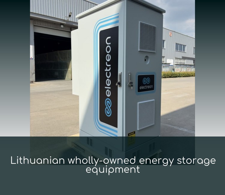 Lithuanian wholly-owned energy storage equipment