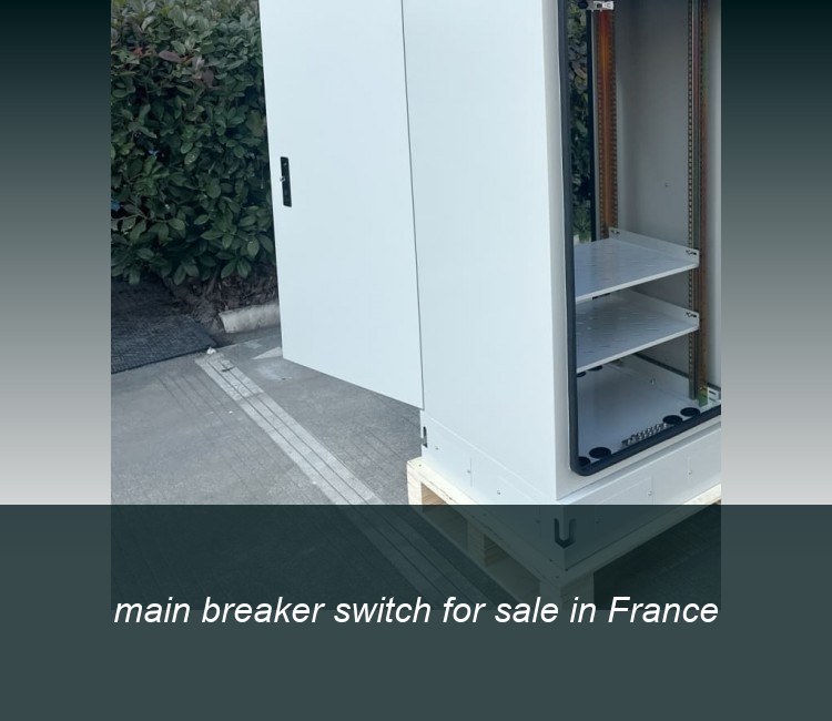 main breaker switch for sale in France