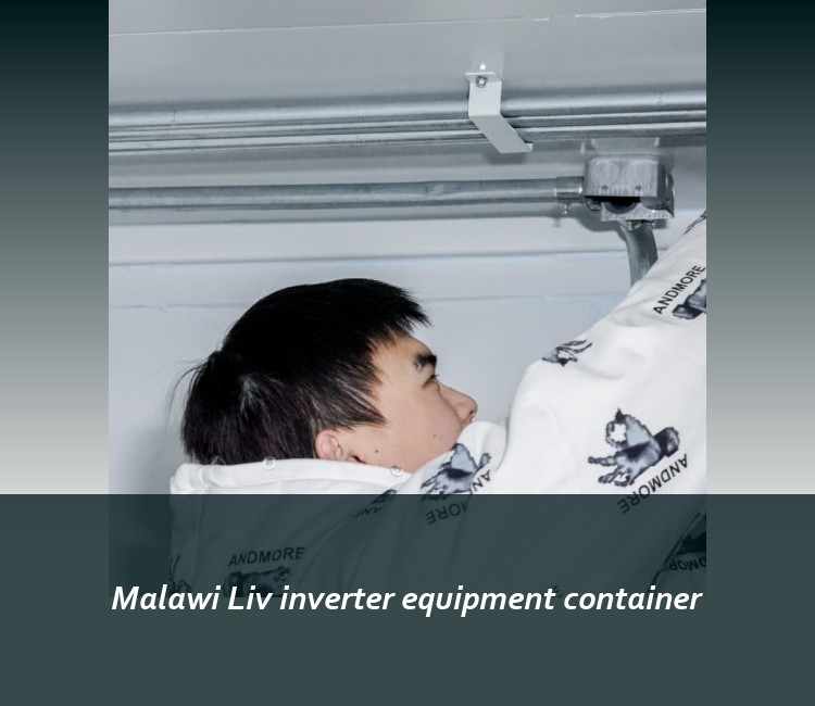 Malawi Liv inverter equipment container