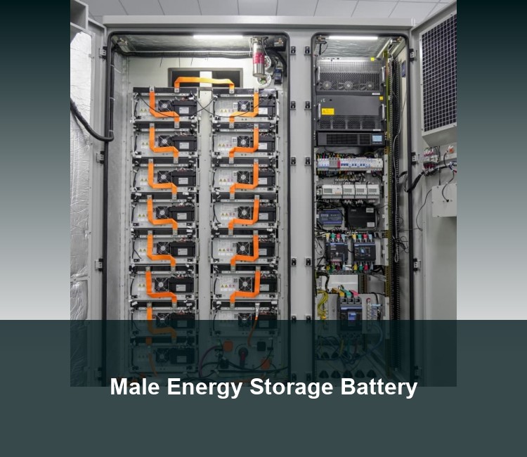 Male Energy Storage Battery