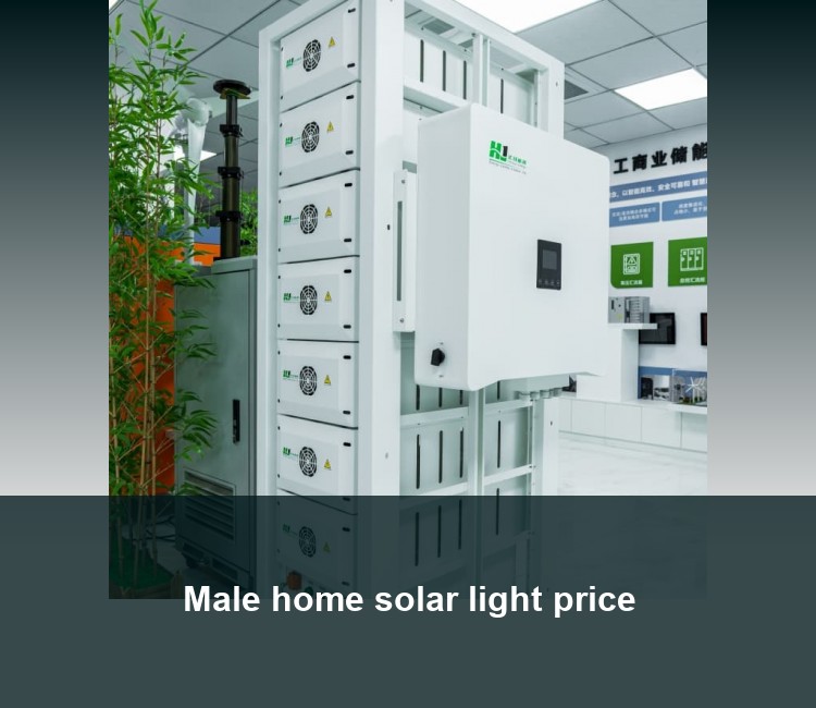 Male home solar light price