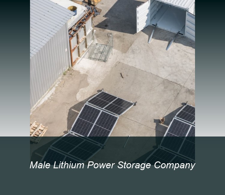 Male Lithium Power Storage Company