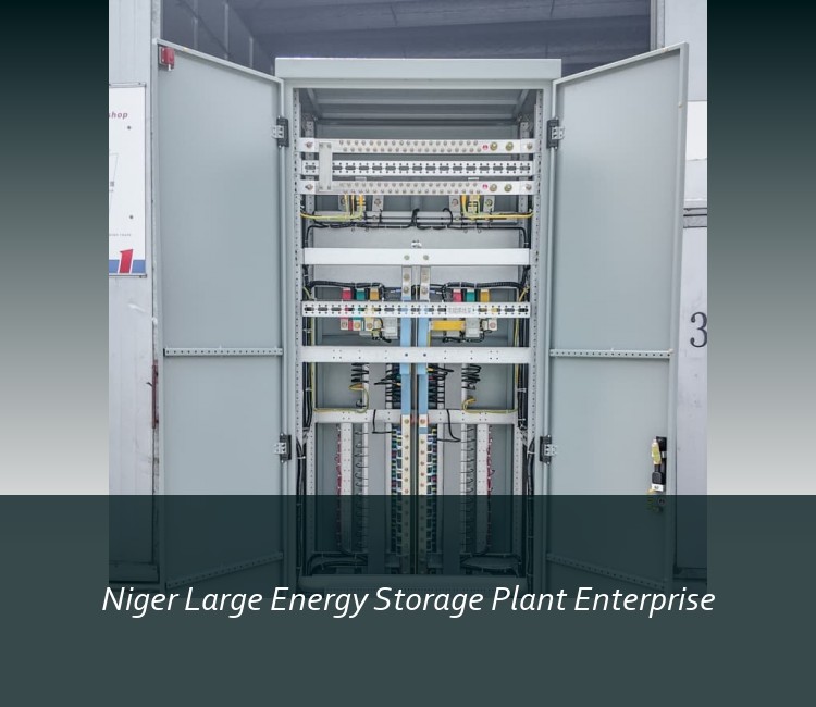 Niger Large Energy Storage Plant Enterprise