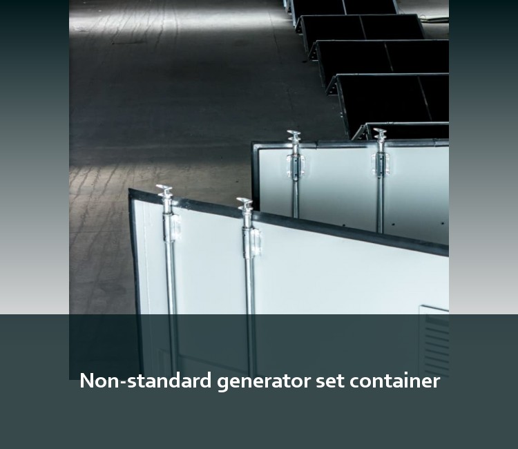 Non-standard generator set container