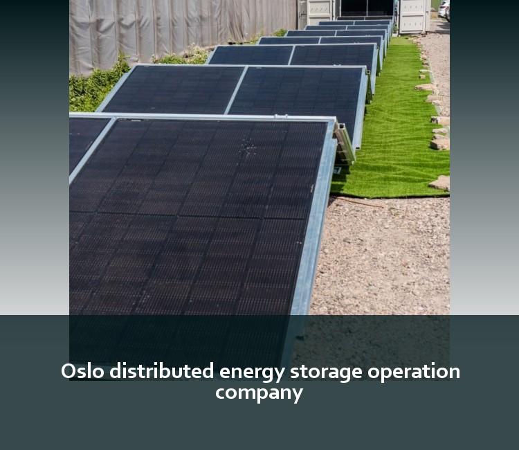 Oslo distributed energy storage operation company