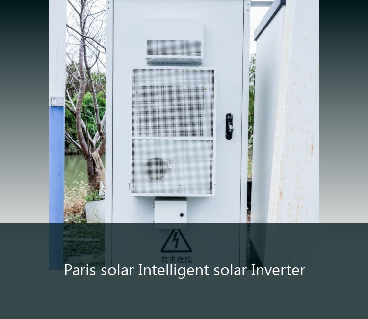 Paris solar Intelligent solar Inverter