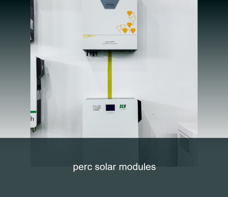 perc solar modules