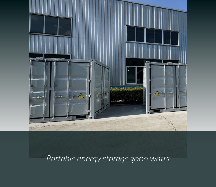 Portable energy storage 3000 watts